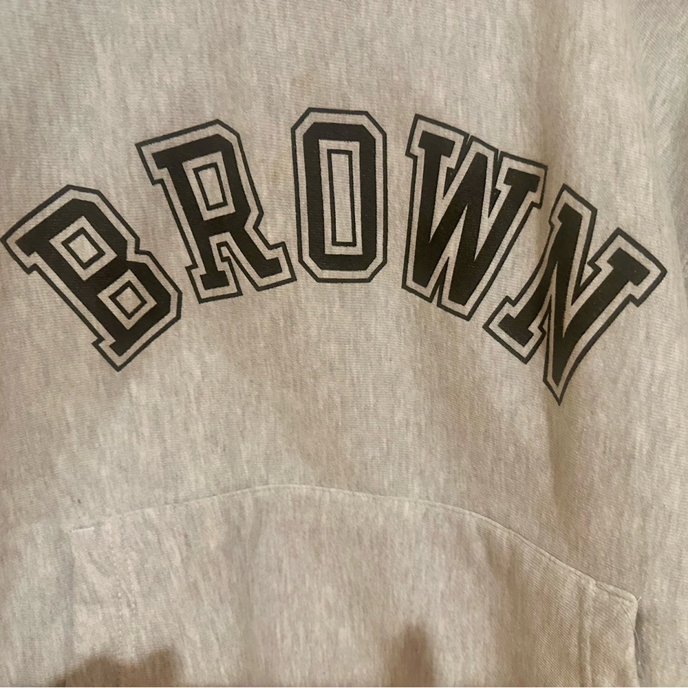 Y2K Brown Sweatshirt Size Large